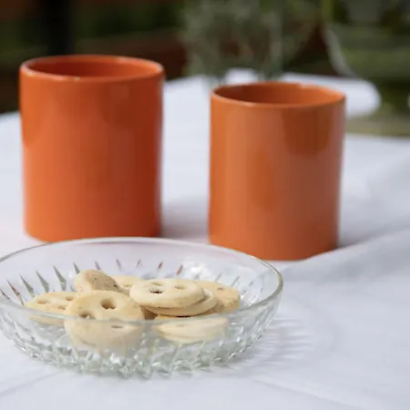 Mirador 186 By Interhome * Verbier